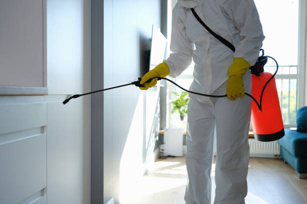 Best Mold Remediation for Schools in Casey, IL