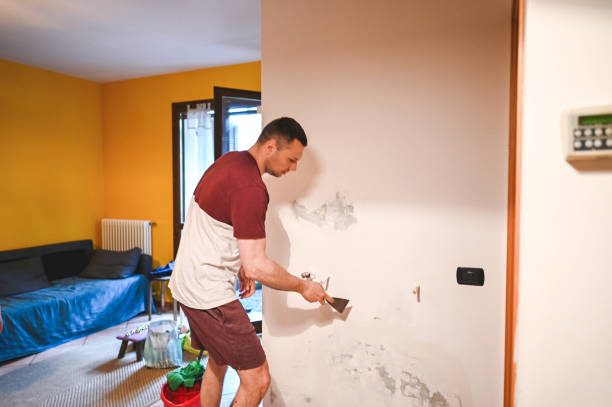 Casey, IL Mold Remediation Company
